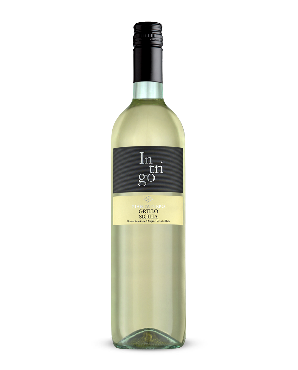 Intrigo Grillo